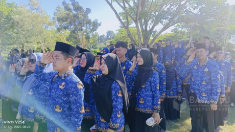 Buol