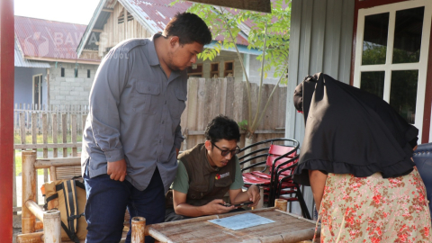 Buol