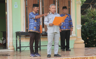 Buol